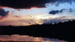 Water clouds Landscapes Trees