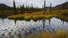 Water clouds Landscapes Trees