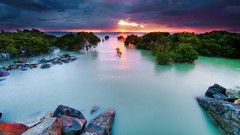 Water clouds Landscapes Trees