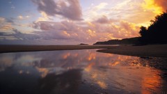 Water clouds Landscapes Trees