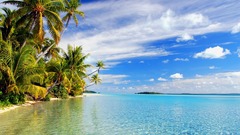 Water clouds palm trees