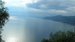 Water coast Italy mediterranean genoa