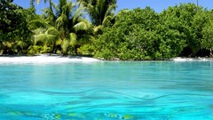 Water coast tropical low resolution