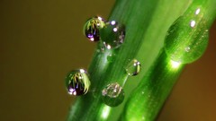 Water complex magazine Uni.Q