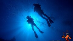 water Divers underwater