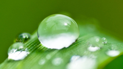 Water drops