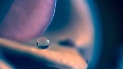 Water drops