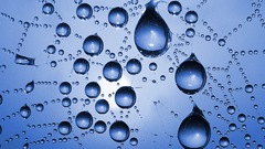 Water drops