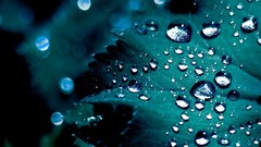 Water drops