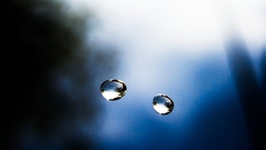 Water drops