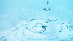 Water drops