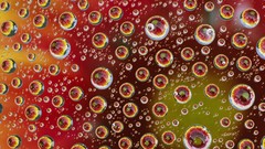 Water drops