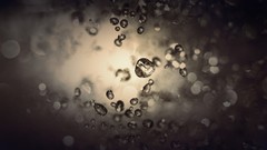 Water drops