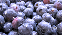 Water drops blueberries