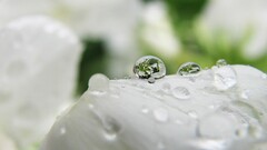 water drops closeup macro