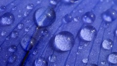 Water drops macro
