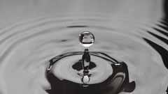 Water drops monochrome