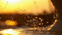Water drops splashes sunlight