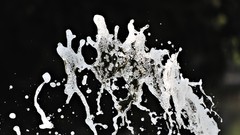 Water drops splashes water