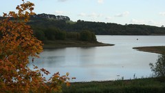 Water Ducks Boats lakes Carsington Water England