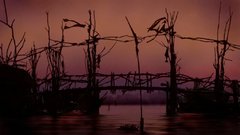 Water dwelling by high