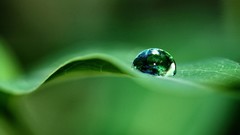 Water Earth water drops