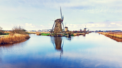 Water fields windmills reflections