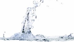 Water fish water drops