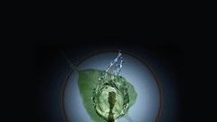 Water flame Linux Bodhi Linux