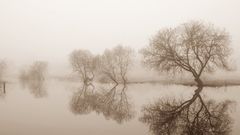 Water fog reflections