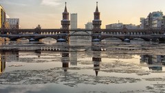 Water germany Bridges reflections Berlin buildings seagulls 