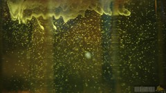 Water glass abstract oil liquid panorama Suspension shampoo HDR 