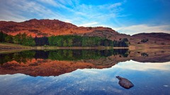 Water Green Cameras Beaches houses deserts