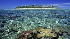 Water horizon Islands palm