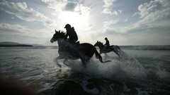 Water Horses