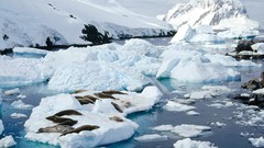 Water ice Landscapes nature