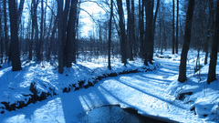 Water ice nature winter