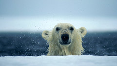 Water ice snow national