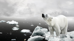 Water ice snow white