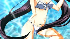 Water infinite stratos black hair shinonono houki swimsuits