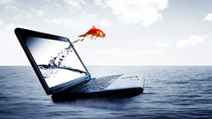 Water jump fish notebook