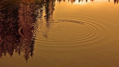 Water lakes reflections ripples