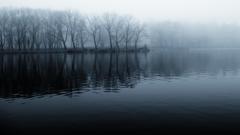 Water Landscapes dark forest