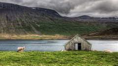 Water Landscapes nature