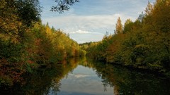 Water Landscapes nature forests
