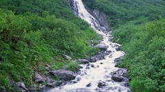 Water Landscapes nature grass