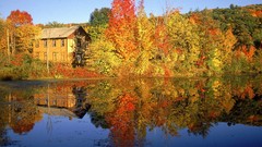 Water Landscapes nature Trees