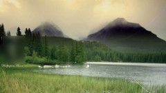 Water Landscapes nature Trees