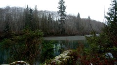 Water Landscapes nature Trees