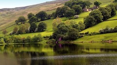 Water Landscapes nature Trees